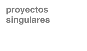 proyectos singulares